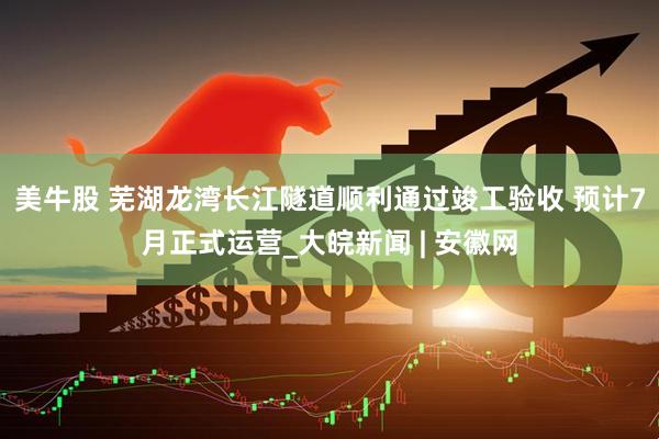 美牛股 芜湖龙湾长江隧道顺利通过竣工验收 预计7月正式运营_大皖新闻 | 安徽网