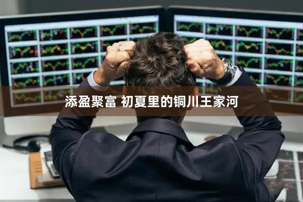 添盈聚富 初夏里的铜川王家河
