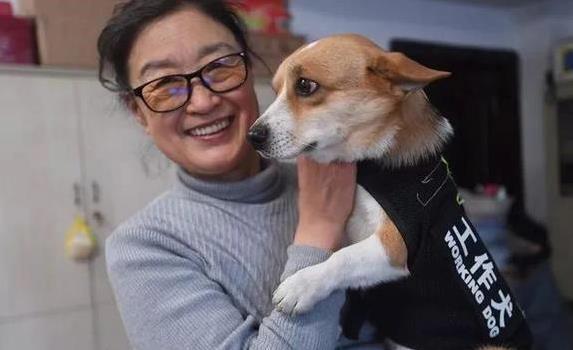同花财富 金毛工作犬乐园撒欢被骂，主人怒怼网友，它凭啥不能有快乐？