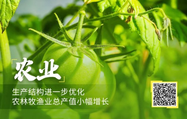 股策略 一文速览｜五大领域来看2025年上半年北京经济