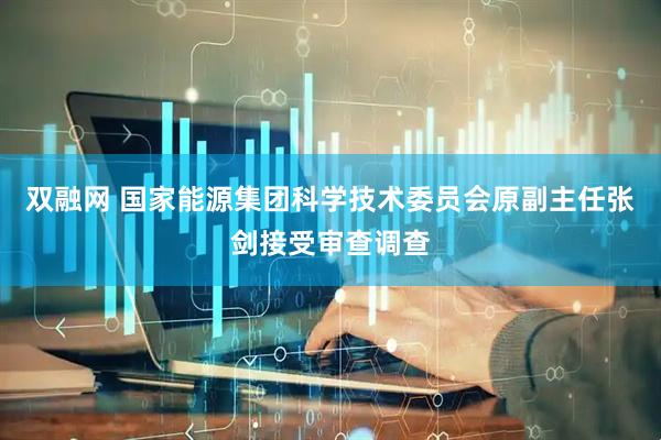 双融网 国家能源集团科学技术委员会原副主任张剑接受审查调查