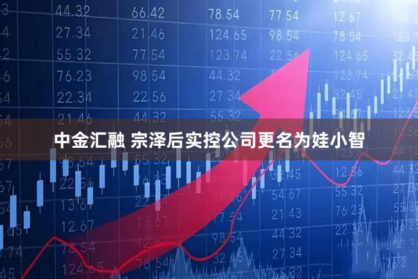 中金汇融 宗泽后实控公司更名为娃小智