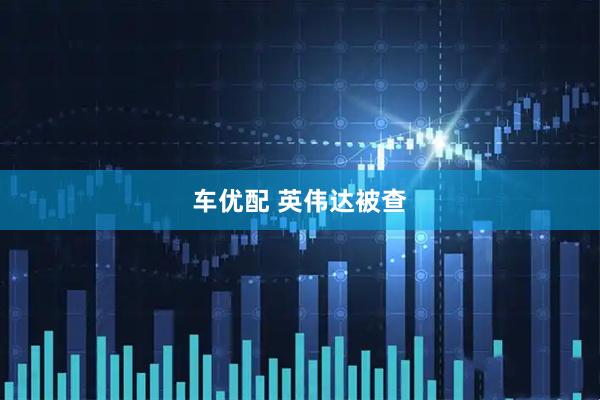 车优配 英伟达被查